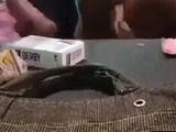 मुस्लिम बूढ़े ने चोदा